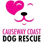 Causeway Coast Dog Rescue call for review of local government’s animal welfare (non-farmed animals) service in Northern Ireland