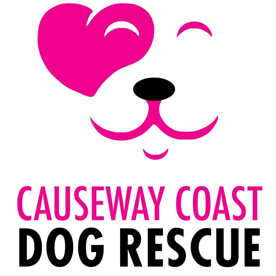 Read more about the article Causeway Coast Dog Rescue call for review of local government’s animal welfare (non-farmed animals) service in Northern Ireland