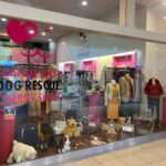 CCDR Shop – Sales Assistant Required